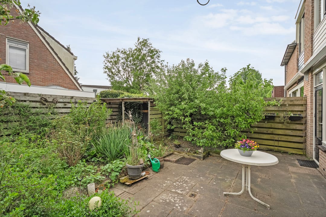 Foto 28 van Krulmate 12