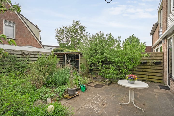 Foto 28 van Krulmate 12