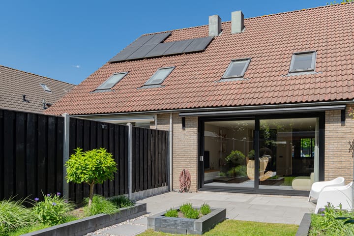 Foto 53 van Sneeuwvink 31