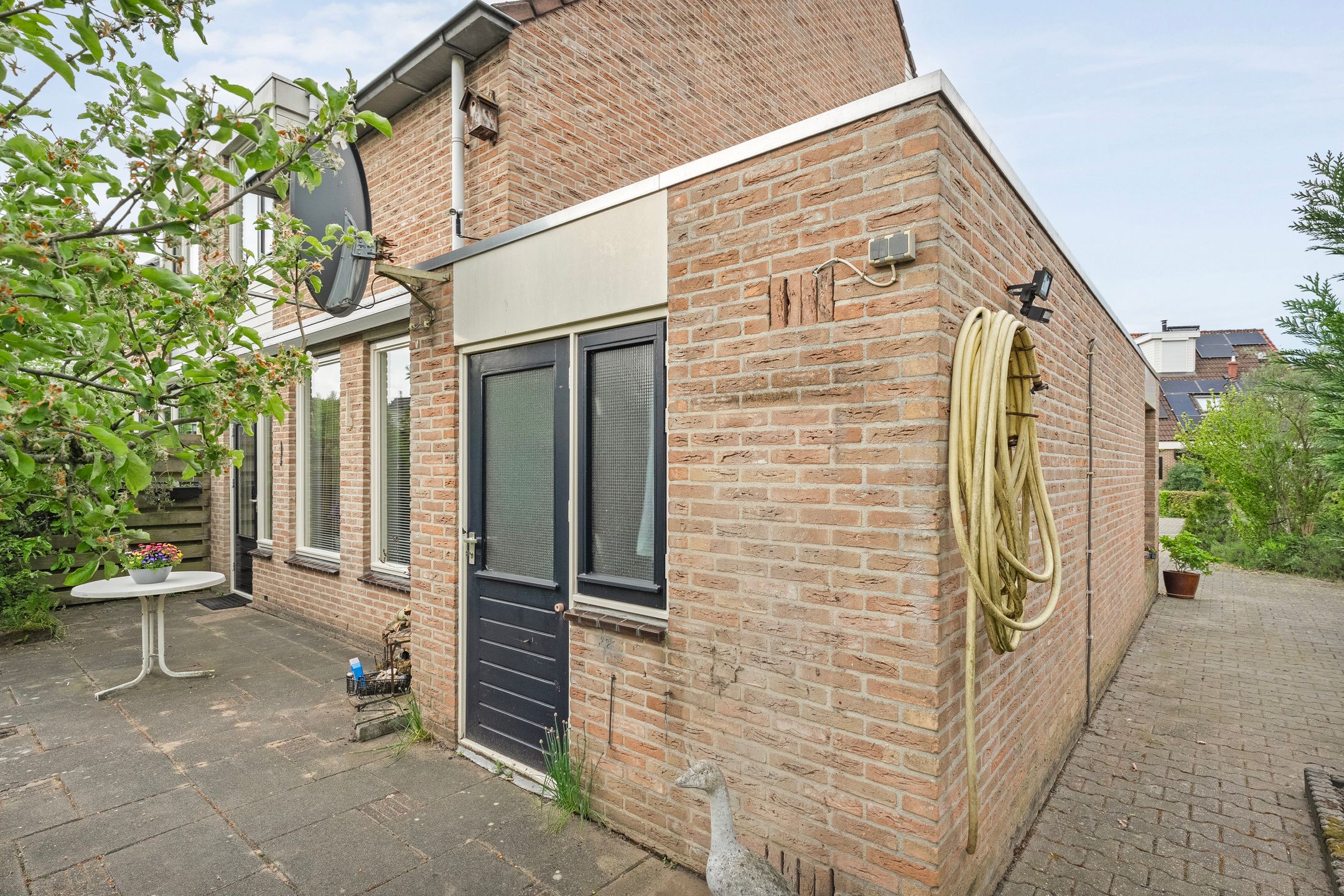 Foto 30 van Krulmate 12