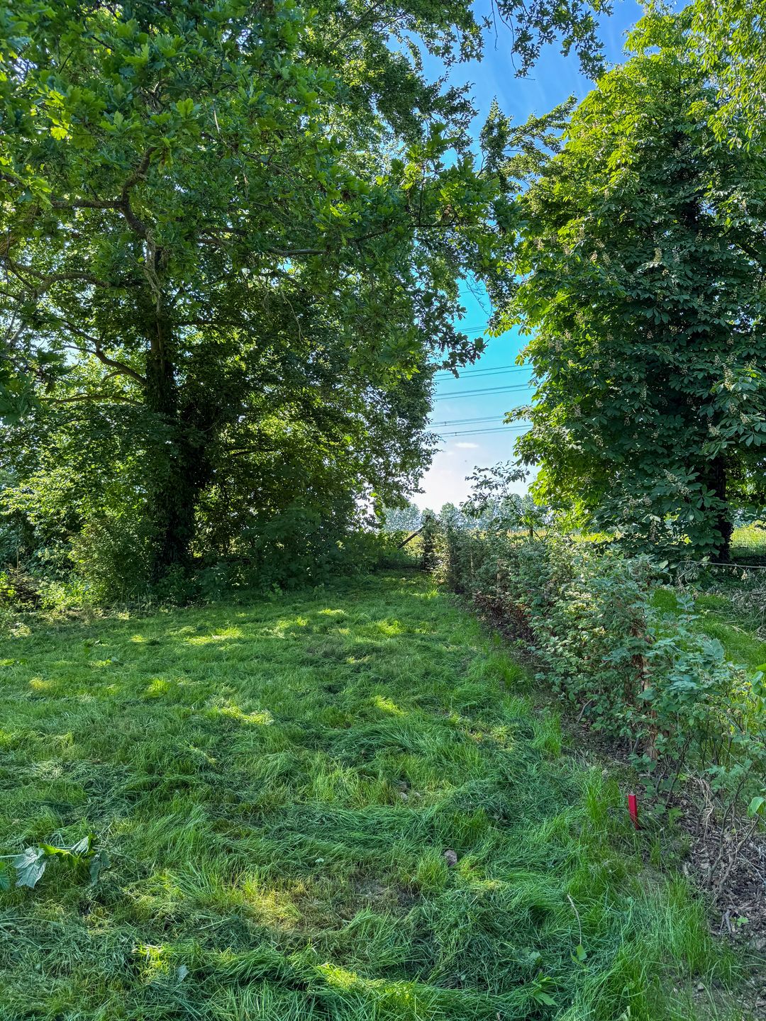 Foto 16 van Aasterbergerweg