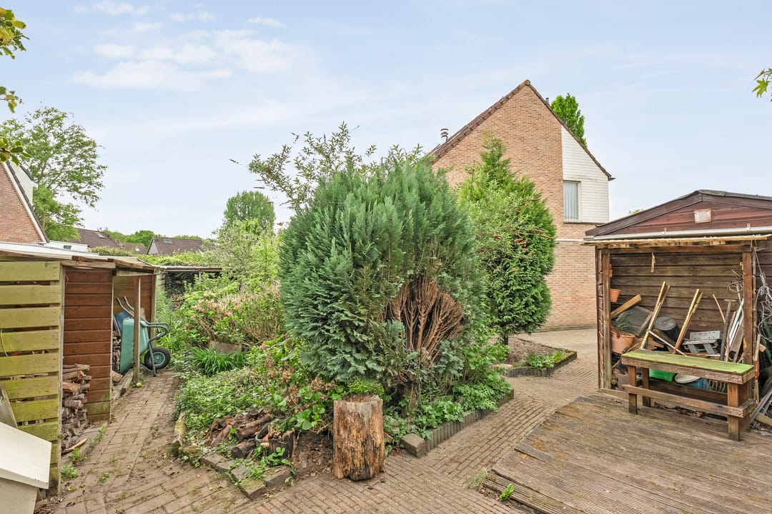 Foto 32 van Krulmate 12