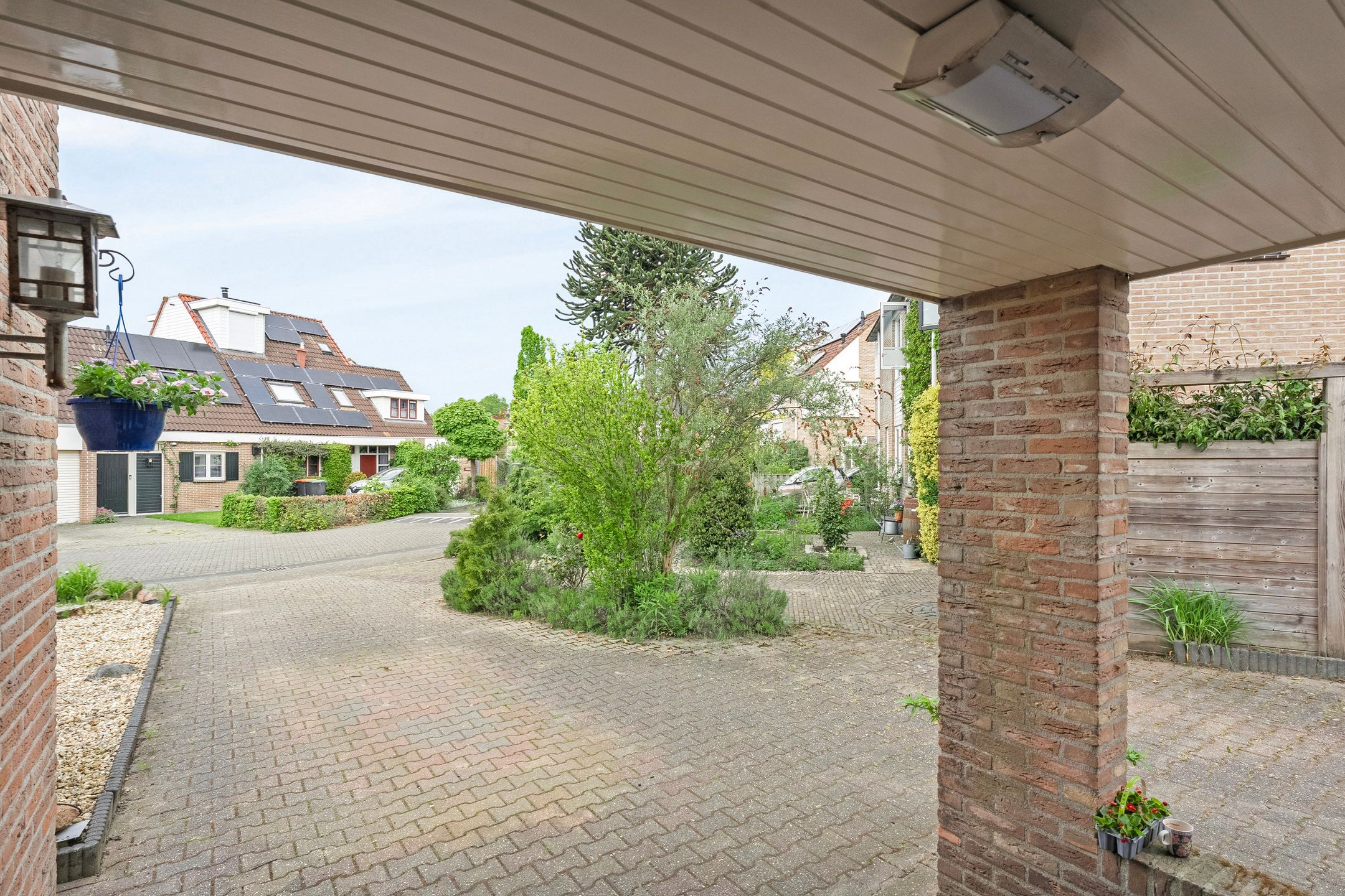 Foto 36 van Krulmate 12