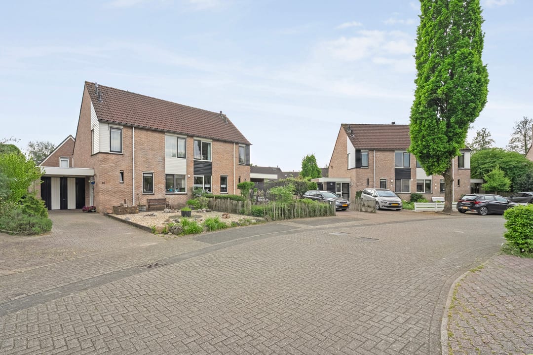 Foto 41 van Krulmate 12