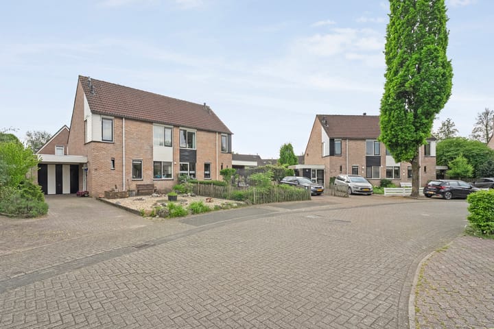 Foto 41 van Krulmate 12