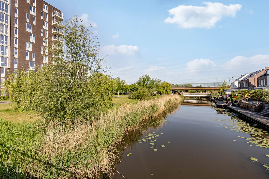 Foto 31 van Ambonstraat 42