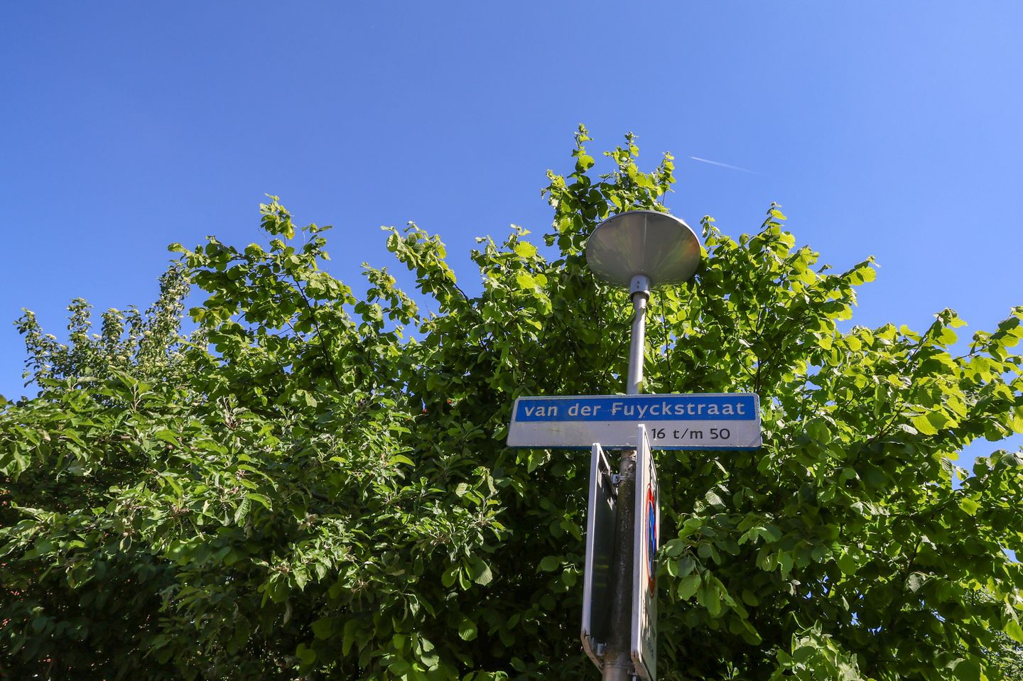 Foto 40 van van der Fuyckstraat 20