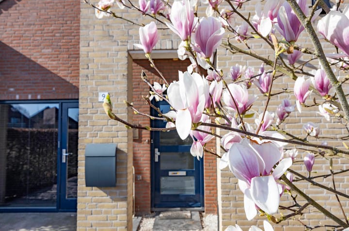 Photo 49 of Gravenhof 9