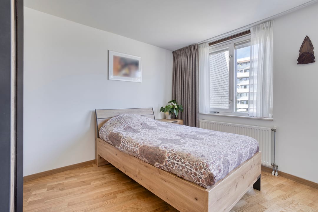 Photo 13 of Madridsingel 60