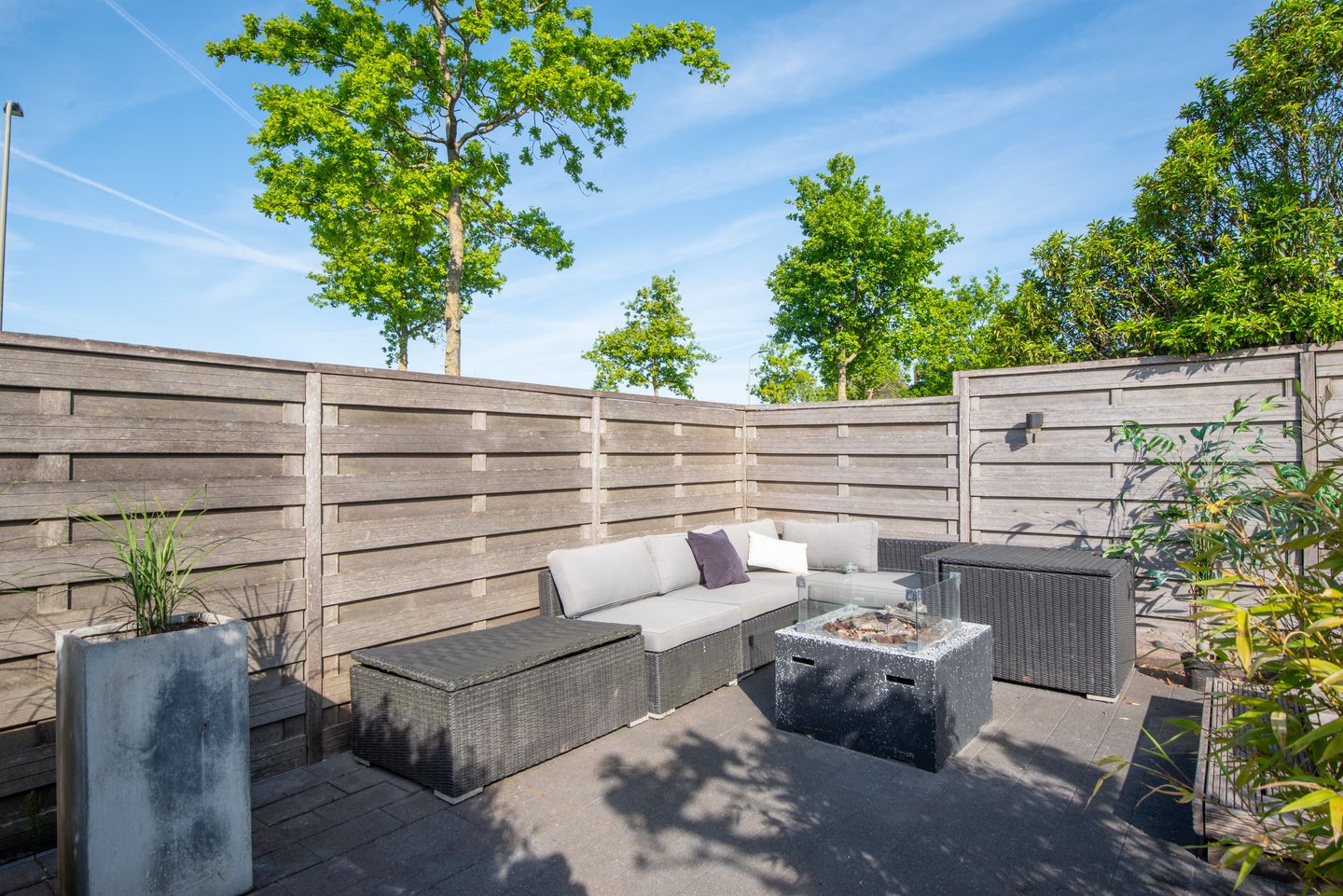 Foto 50 van Aurora 29