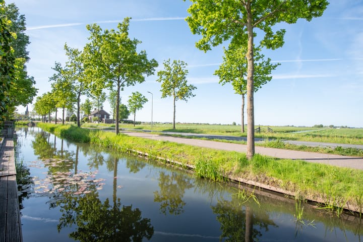 Photo 55 of Aurora 29