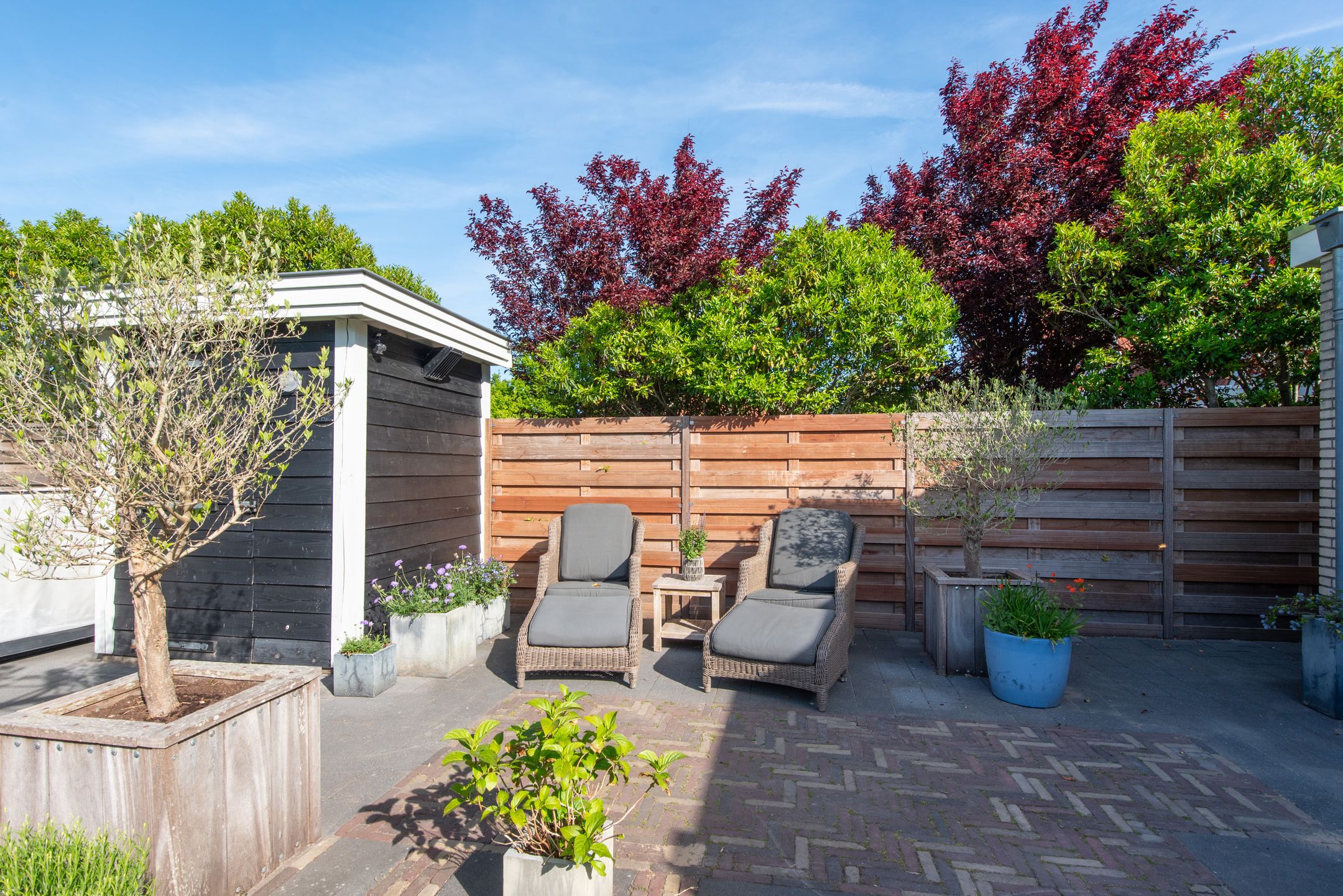 Foto 57 van Aurora 29