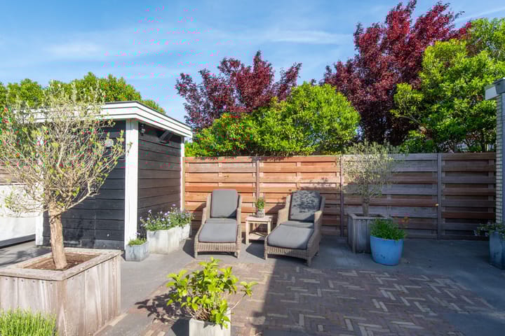 Photo 57 of Aurora 29