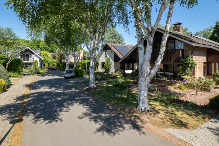 Photo 41 of Albert Sommerstraat 6