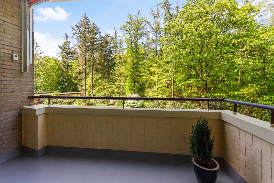 Foto 13 van Soerenseweg 125-16