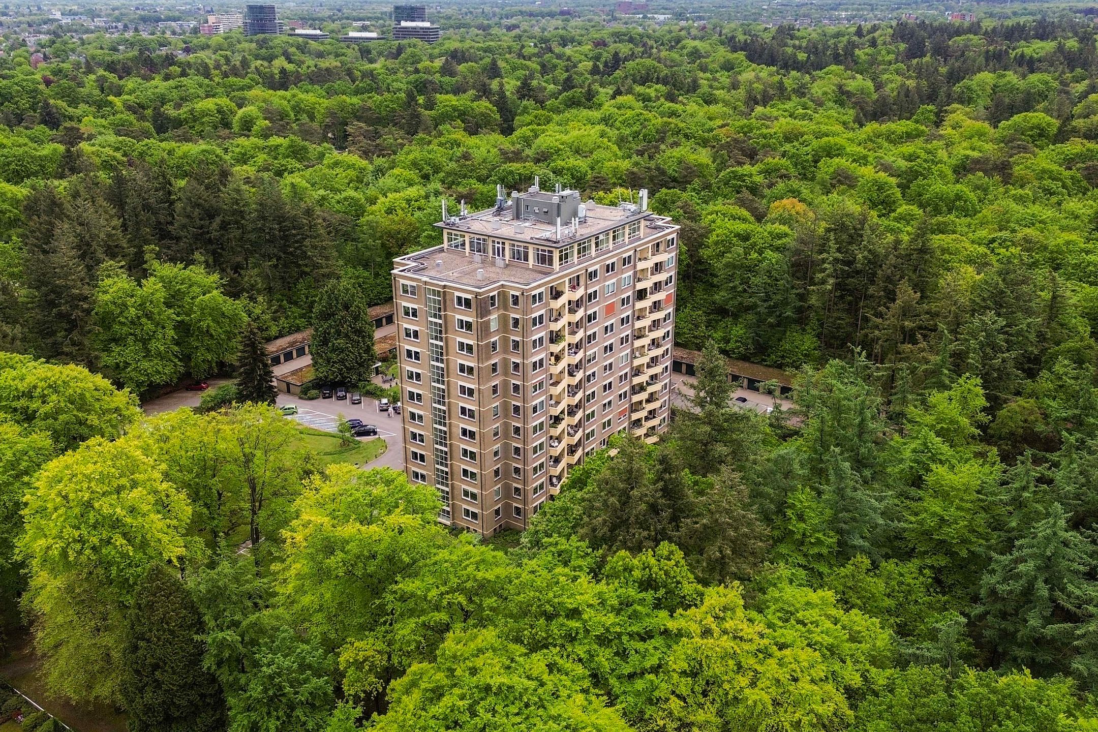 Foto 24 van Soerenseweg 125-16