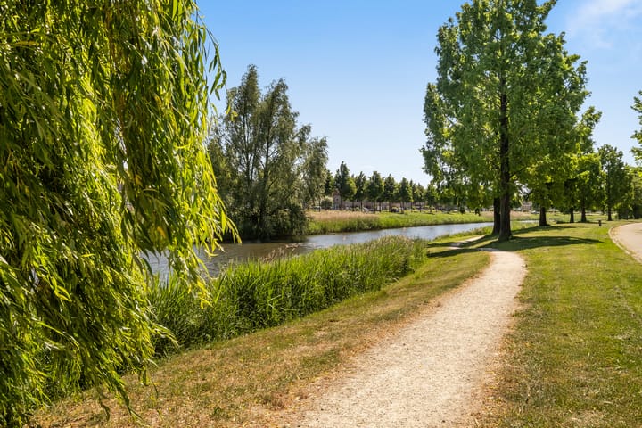 Foto 35 van Eurosingel 176