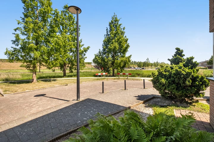 Foto 37 van Eurosingel 176