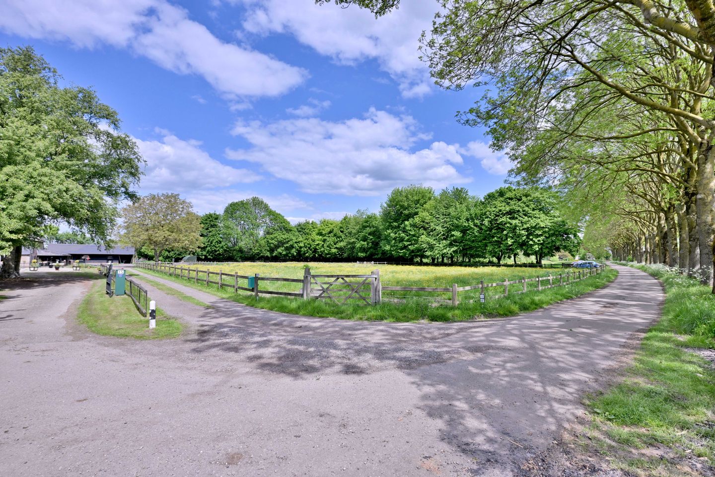 Photo 5 of Dwarsweg 15