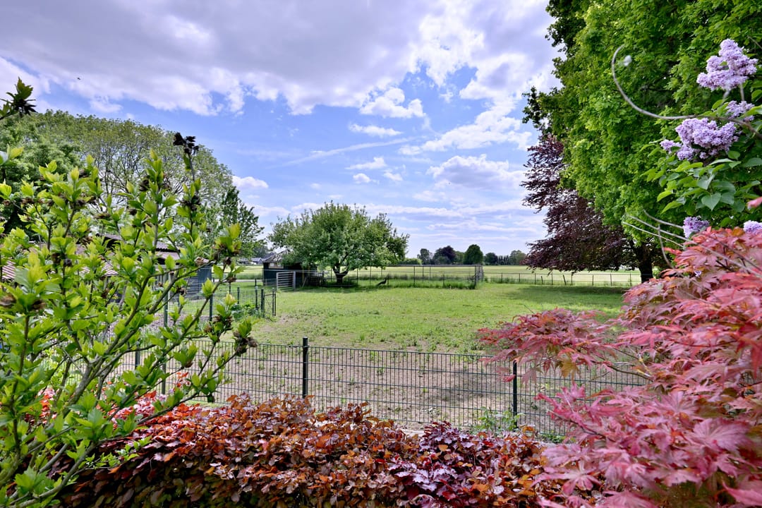 Photo 47 of Dwarsweg 15