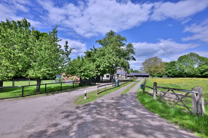 Photo 59 of Dwarsweg 15