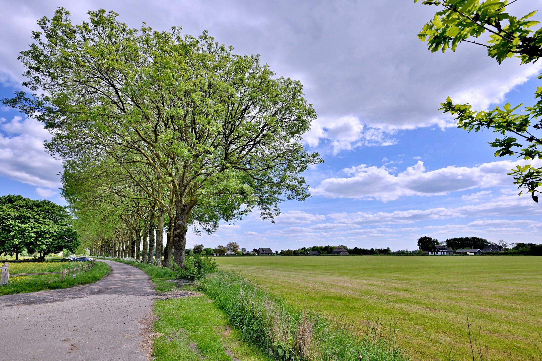 Photo 60 of Dwarsweg 15