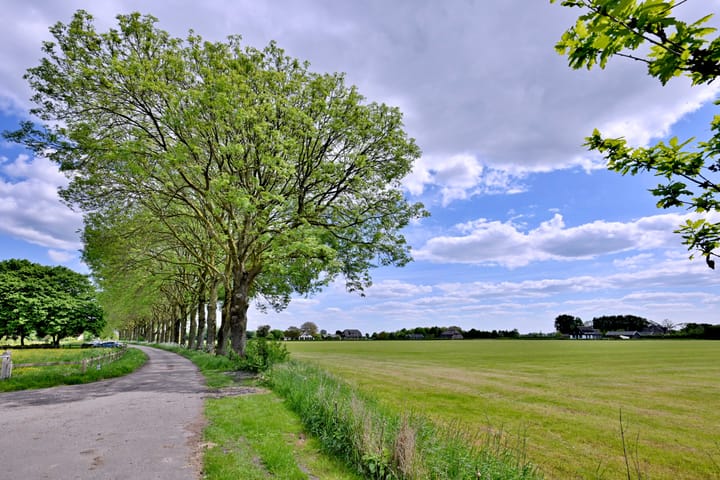 Photo 60 of Dwarsweg 15