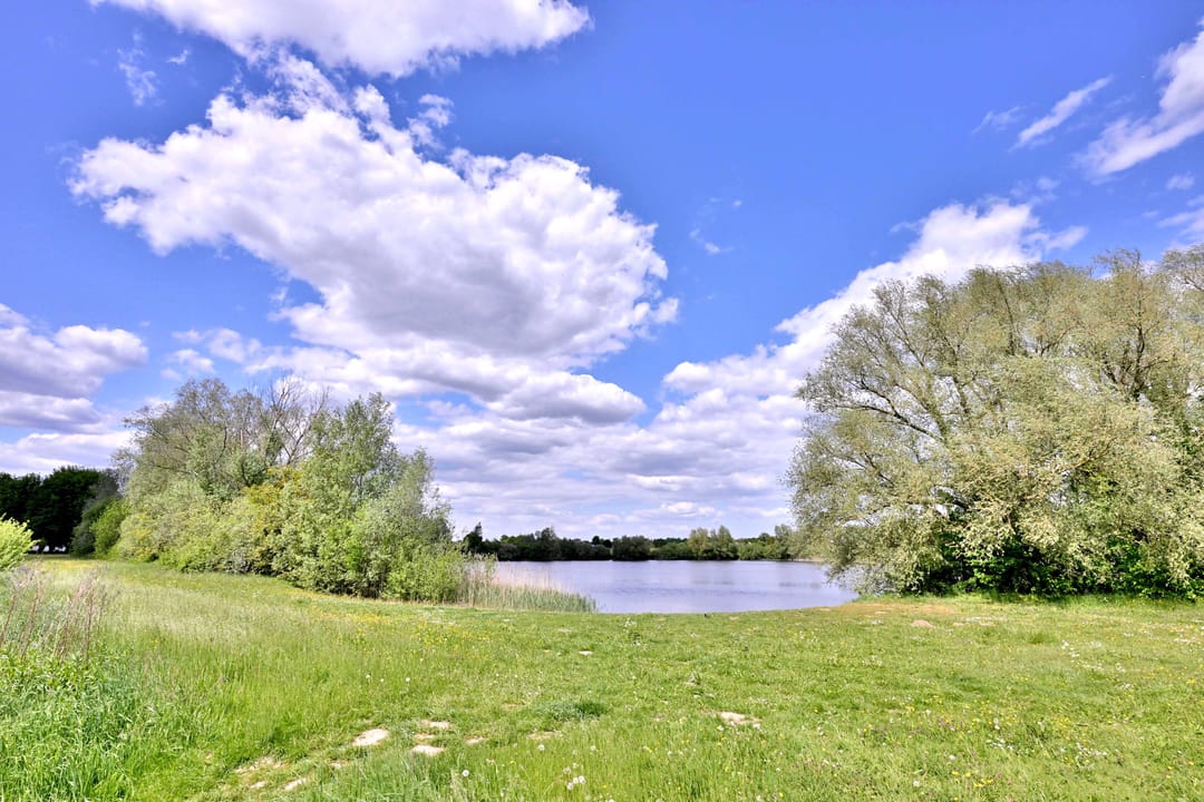 Photo 61 of Dwarsweg 15