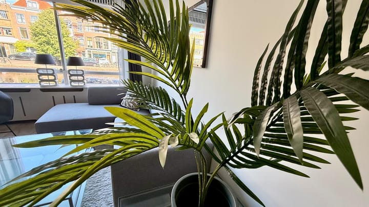 Foto 3 van Noordwal 46