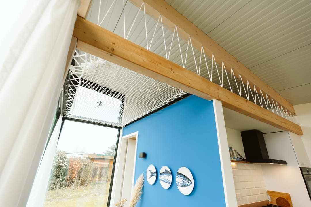 Foto 13 van Klepperstee-Nachtegaal 23