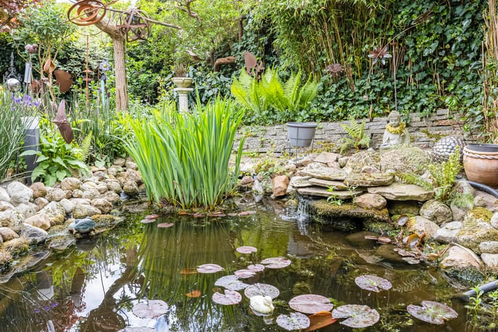 Photo 47 of Roggehullen 22