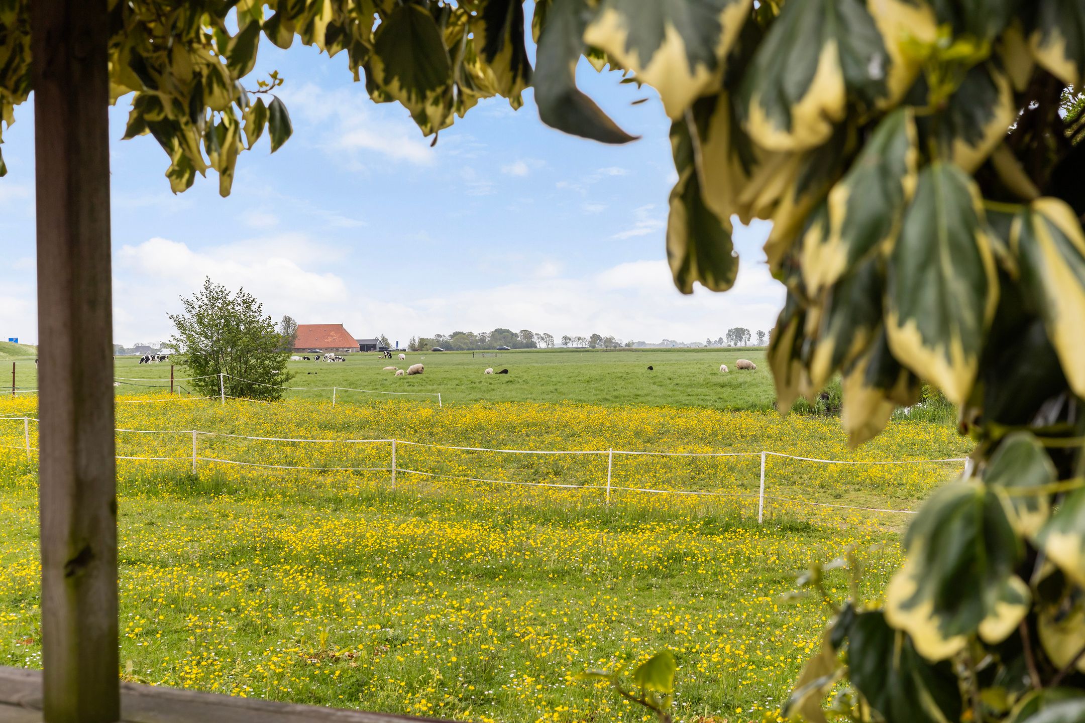 Foto 3 van Pier Winsemiusleane 38