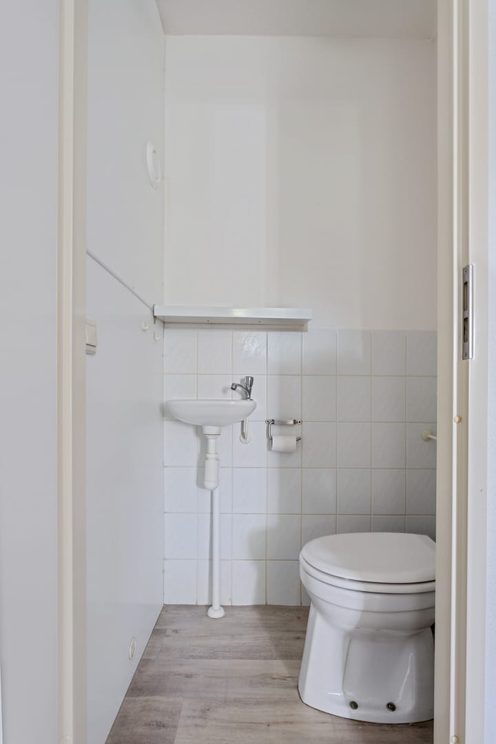 Foto 11 van Steenuil 24