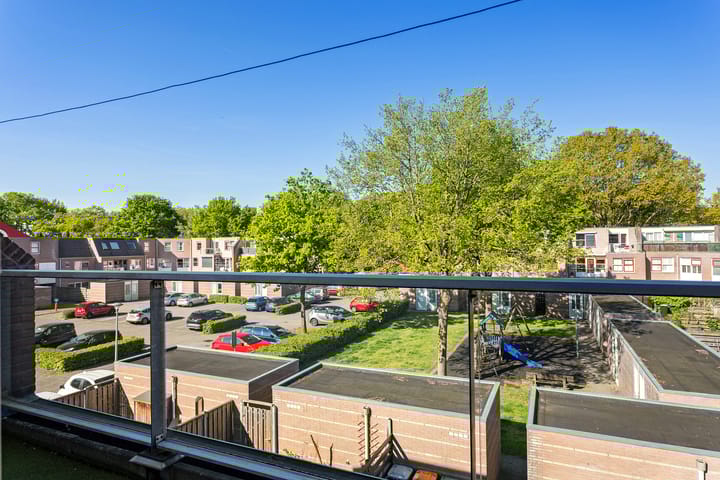 Foto 23 van Steenuil 24