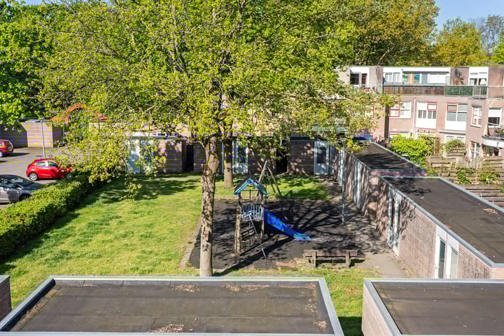 Foto 25 van Steenuil 24