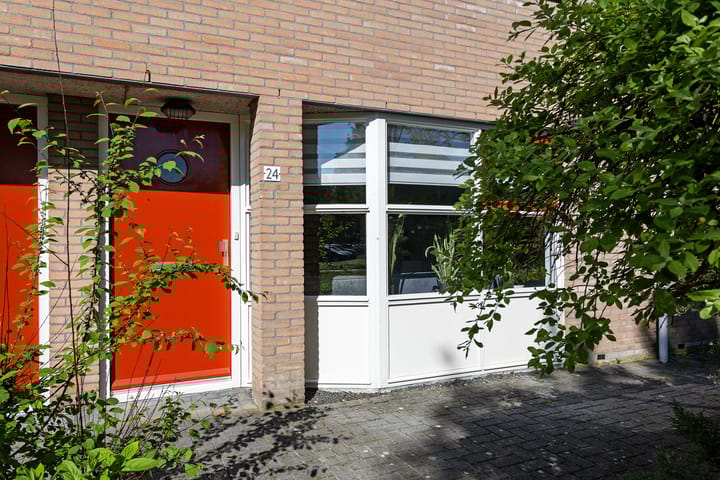 Foto 30 van Steenuil 24