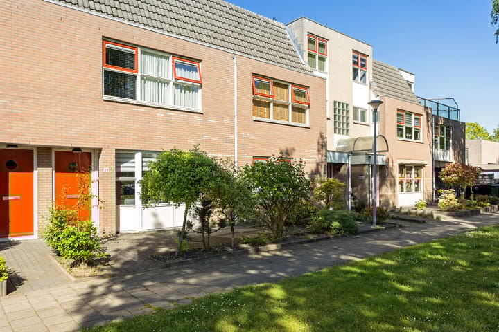 Foto 31 van Steenuil 24