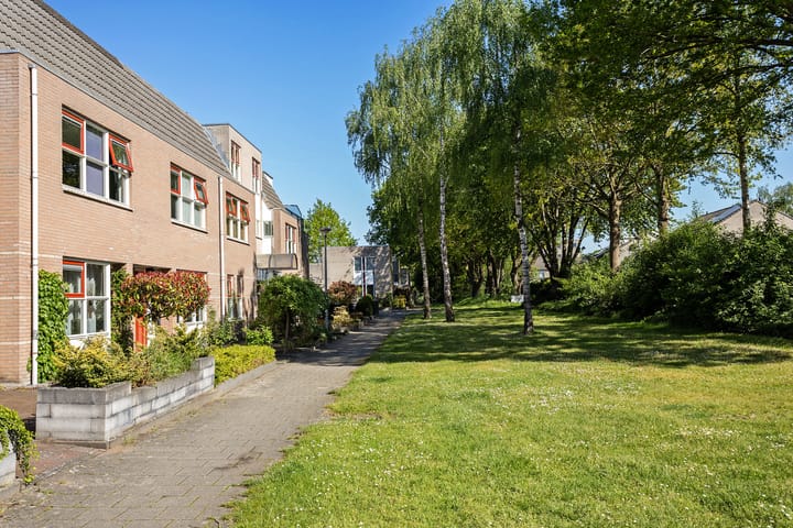 Foto 34 van Steenuil 24