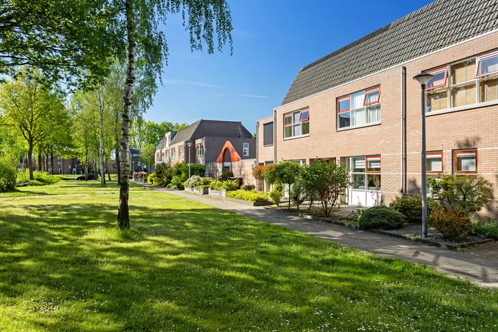 Foto 35 van Steenuil 24