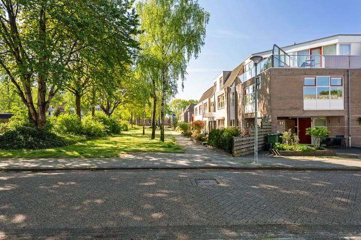 Foto 36 van Steenuil 24