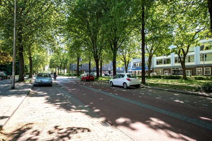 Foto 30 van Trouwlaan 226