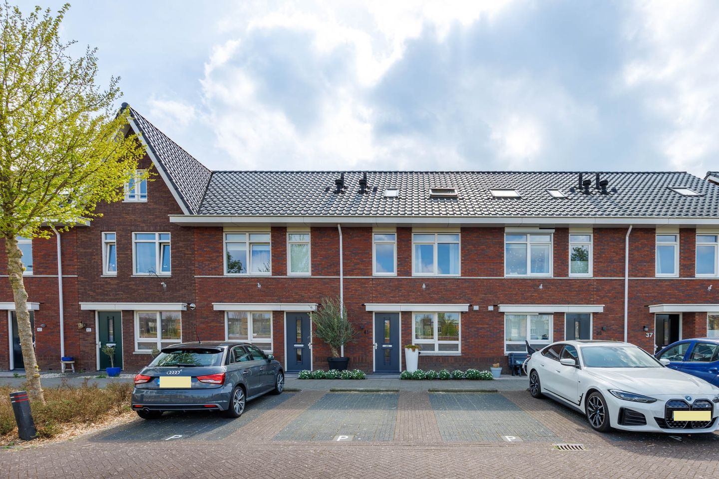 Foto 55 van Polderpeil 41