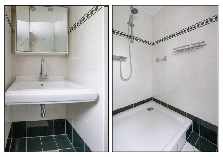 Foto 21 van Traaij 246