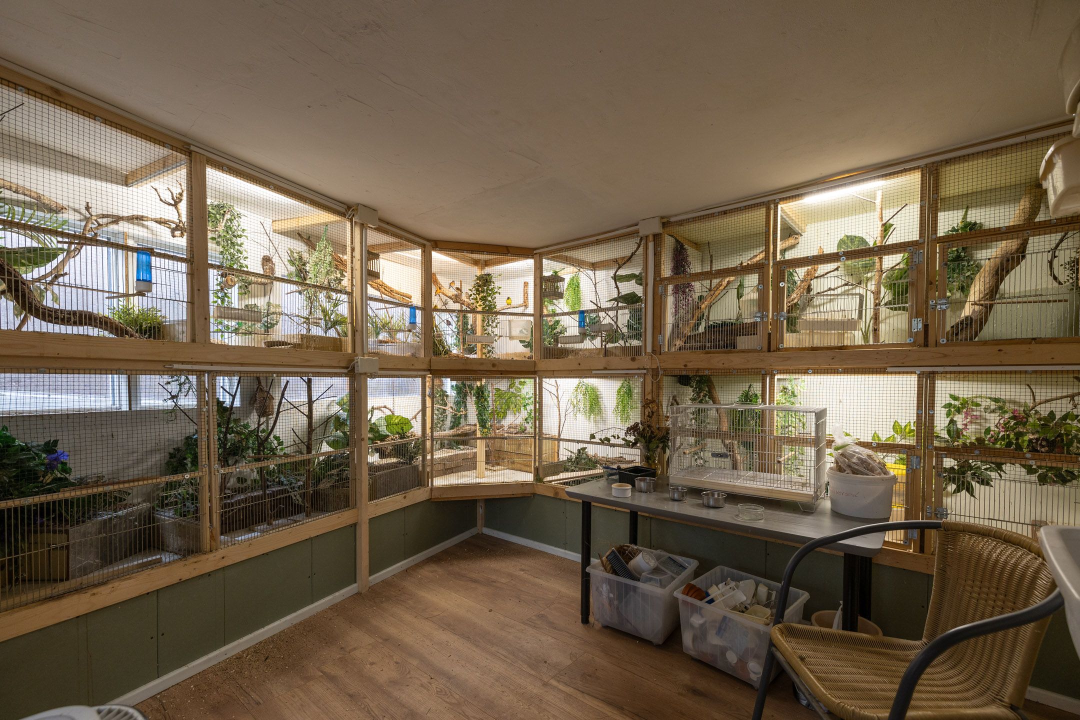 Foto 24 van Traaij 246