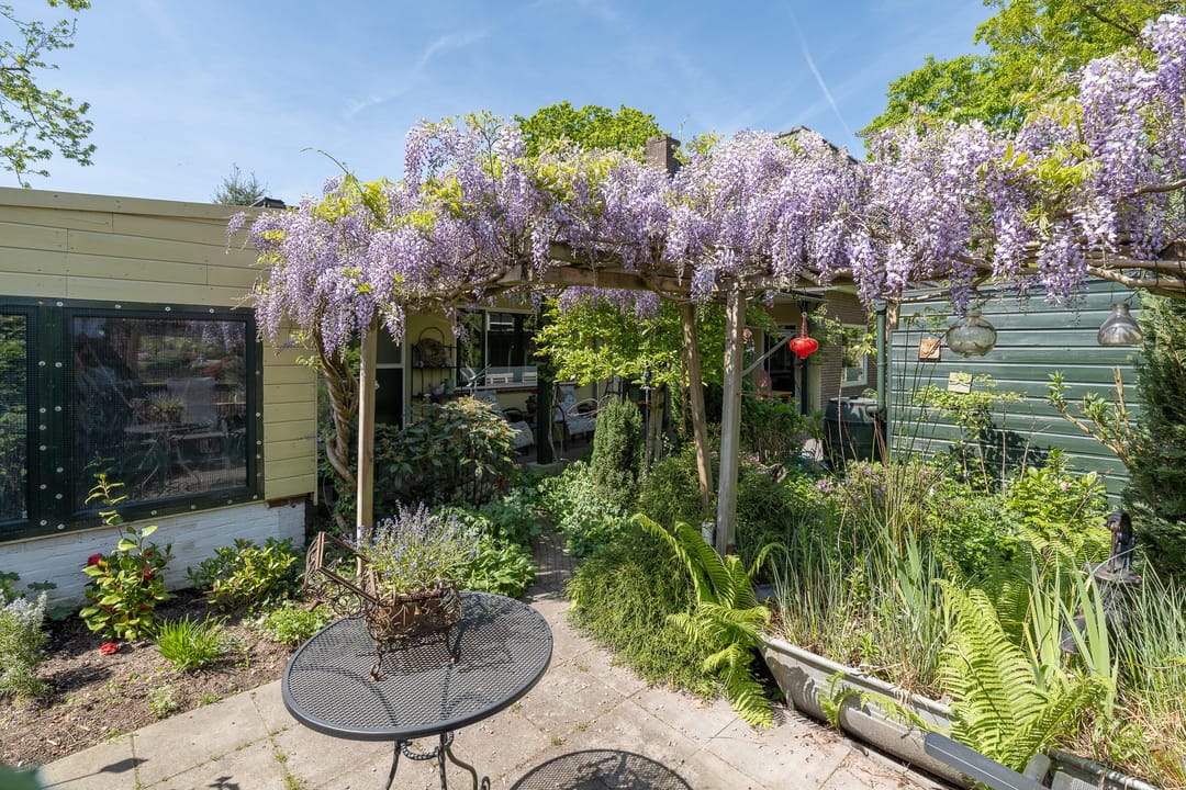 Foto 32 van Traaij 246