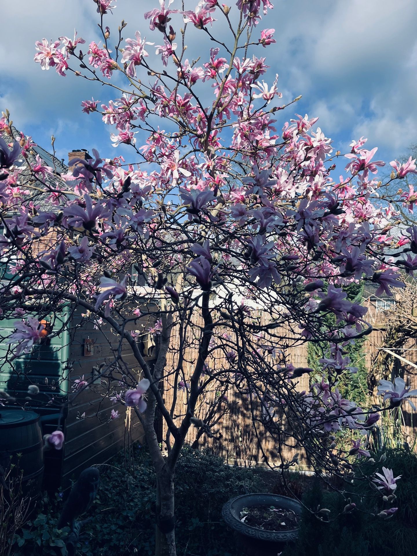 Foto 34 van Traaij 246