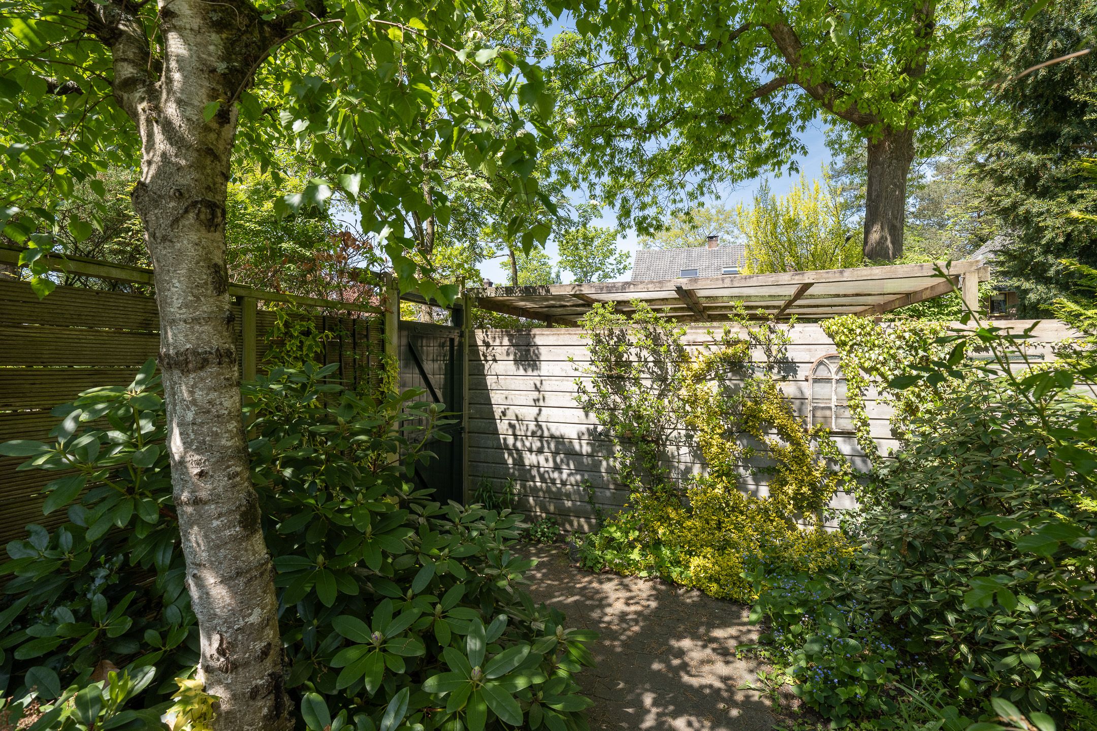 Foto 39 van Traaij 246