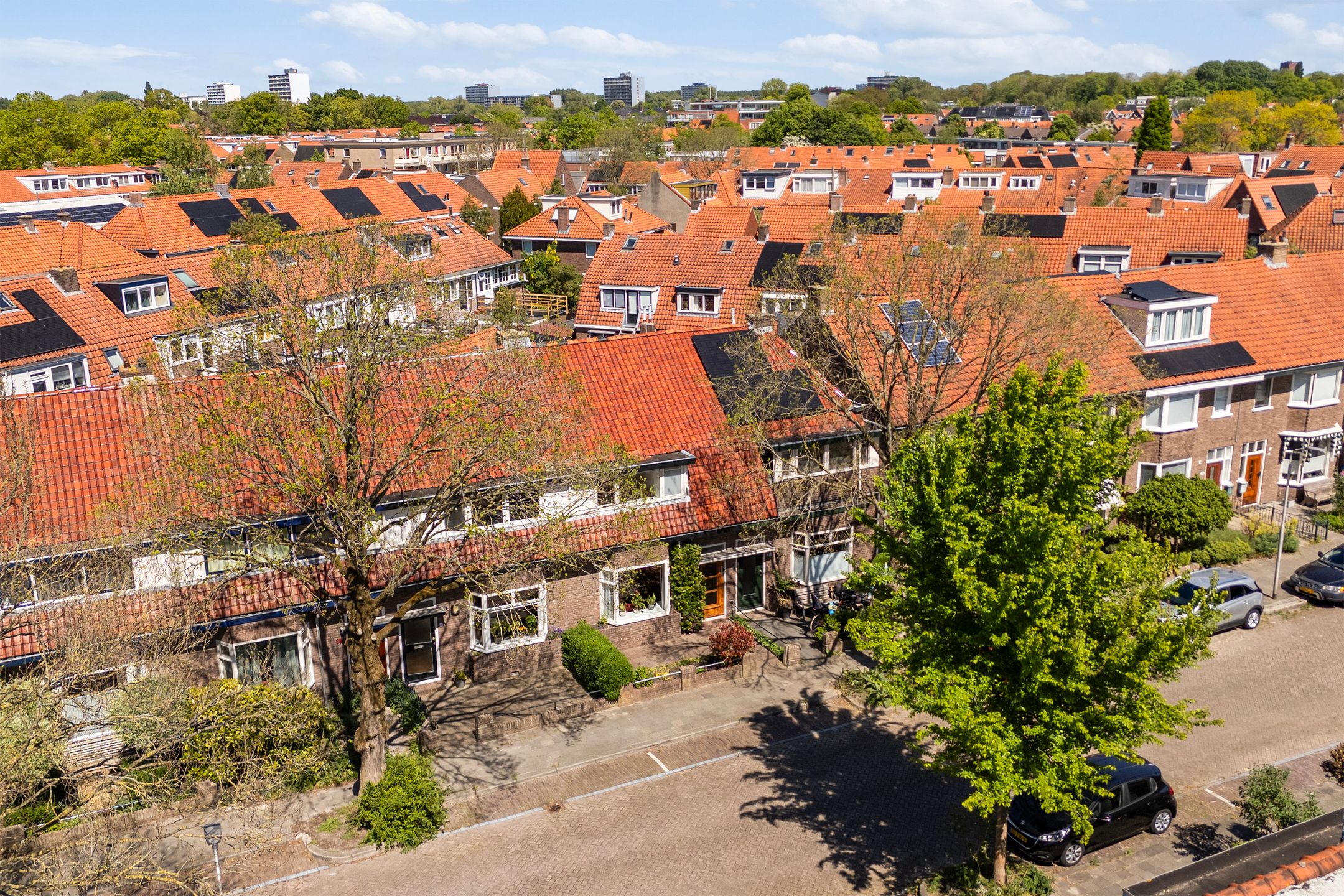 Foto 45 van Ibisstraat 32