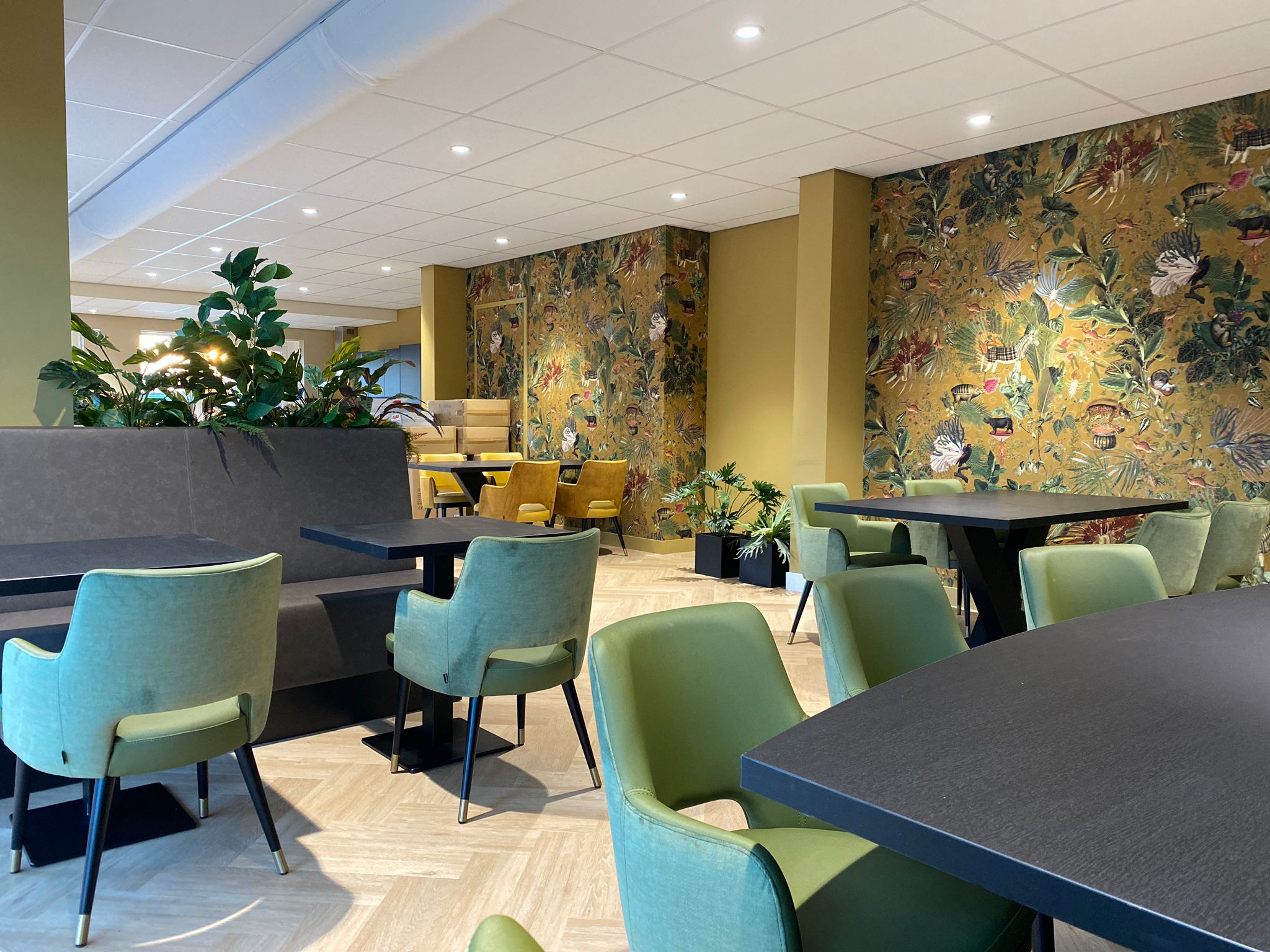 Photo 21 of Albertina Agnesstraat 58