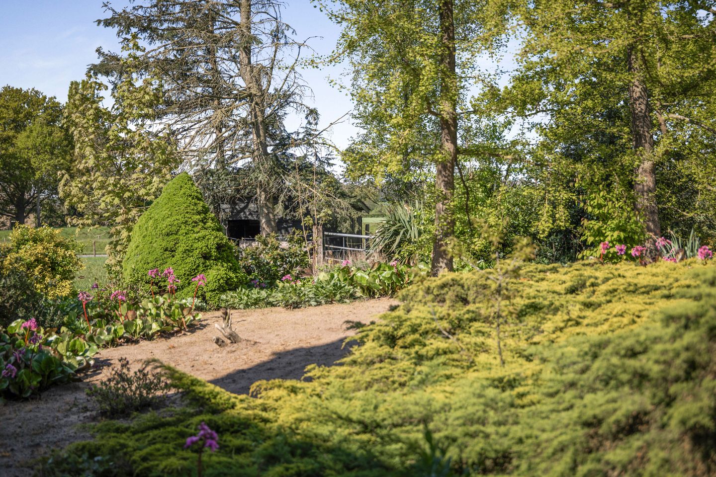 Foto 25 van IJsseldijk 34